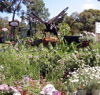 Zanthorrea Nursery - Attractions Melbourne