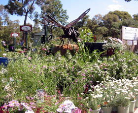 Zanthorrea Nursery - Attractions Melbourne 0