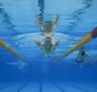 Kensington Community Recreation Centre - Attractions Melbourne