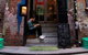 Twenty By Thirty Gallery - thumb 0
