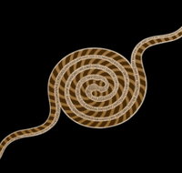 Original  Authentic Aboriginal Art - Attractions Melbourne