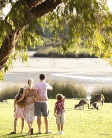Yanchep National Park - Bushwalking Trails - Attractions Melbourne 0