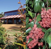 Bushfood Factory and Cafe - Attractions Melbourne