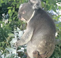 Whiteman Park - Attractions Melbourne