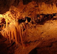 Yanchep National Park - Crystal Cave - Attractions Melbourne