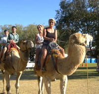 Calamunnda Camel Farm - Attractions Melbourne