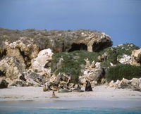 Book Jurien Bay Accommodation Vacations Attractions Melbourne Attractions Melbourne