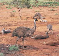 Hammond Park - Attractions Melbourne