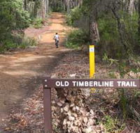 Old Timberline and Sidings Rail Trails - Attractions Melbourne