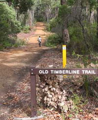 Book Nannup Accommodation Vacations Attractions Melbourne Attractions Melbourne