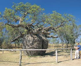 Derby WA Attractions Melbourne