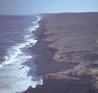 Useless Loop - Attractions Melbourne