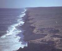 Book Denham Accommodation Vacations Attractions Melbourne Attractions Melbourne