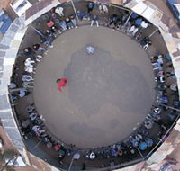 Two-Up School - Attractions Melbourne