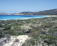 Mississippi Hill and Rossiter Bay