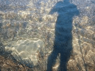 Jervis Bay Stand Up Paddle - Attractions Melbourne 3