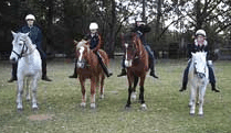 Valhalla Horse Riding - Attractions Melbourne 1