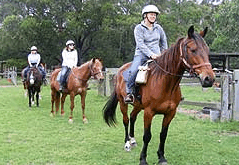 Valhalla Horse Riding - Attractions Melbourne 2