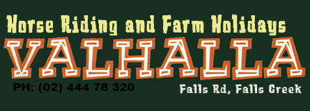 Valhalla Horse Riding - Attractions Melbourne 4