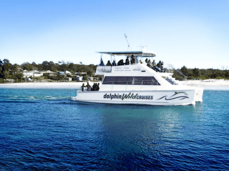 Dolphin Wild Cruises - Attractions Melbourne 1