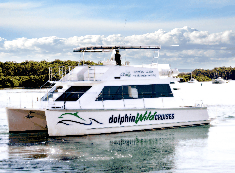 Dolphin Wild Cruises - Attractions Melbourne 2