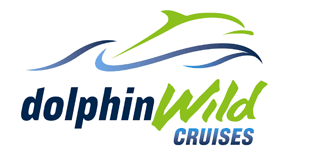 Dolphin Wild Cruises - Attractions Melbourne 4