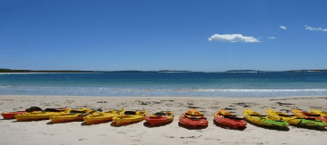 Jervis Bay Kayak & Paddlesports - Attractions Melbourne 5