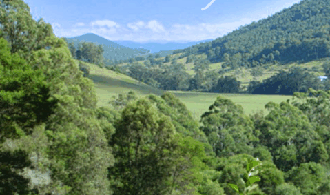 Blue Poles Gallery - Attractions Melbourne 1