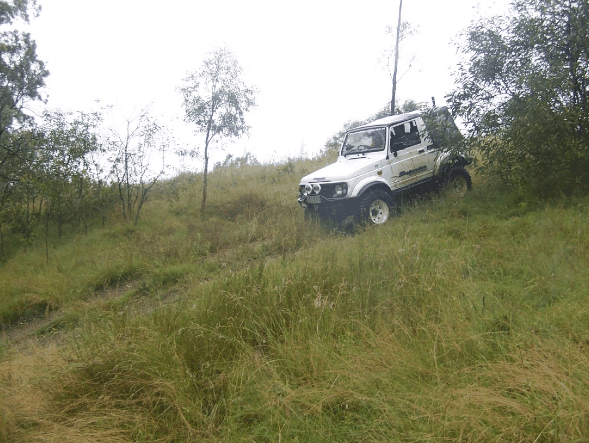 Scenic Rim Adventure Park - Attractions Melbourne 1