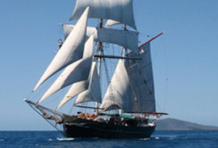 Australian Tallship Cruises - Attractions Melbourne 0