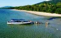 Book Cape Tribulation Accommodation Vacations Attractions Melbourne Attractions Melbourne