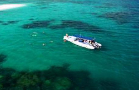 Ocean Safari - Attractions Melbourne 1