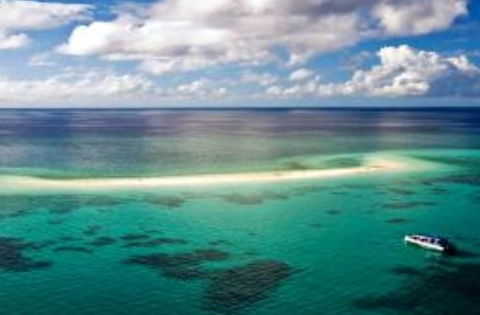 Ocean Safari - Attractions Melbourne 2