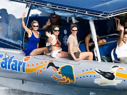 Ocean Safari - Attractions Melbourne 3