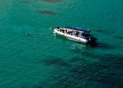 Ocean Safari - Attractions Melbourne 5