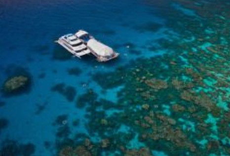 Great Adventures Reef And Green Island Cruises - Attractions Melbourne 0