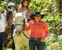 Book Yorkeys Knob Accommodation Vacations Attractions Melbourne Attractions Melbourne