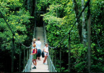 BTS Tours Pty Ltd - Attractions Melbourne 4