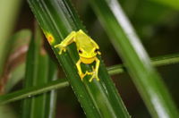 Daintree River Cruise Centre
