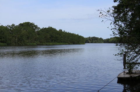 Daintree River Cruise Centre - Attractions Melbourne 2