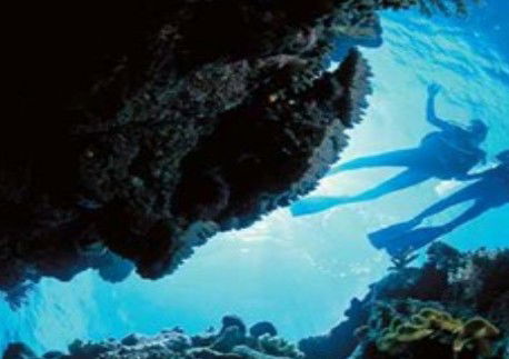 Deep Sea Divers Den - Attractions Melbourne 0