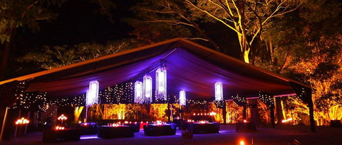 Flames Of The Forest - Attractions Melbourne 0