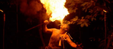Flames Of The Forest - Attractions Melbourne 1