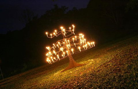 Flames Of The Forest - Attractions Melbourne 4