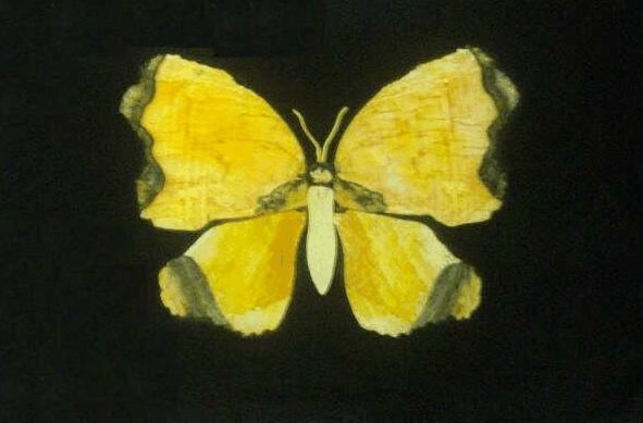 Inkerman QLD Attractions Melbourne