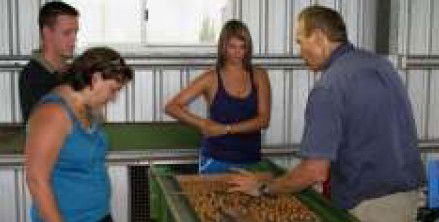 Food Trails Tours - Attractions Melbourne 3