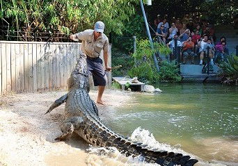 Hartley's Crocodile Adventures - Attractions Melbourne 4