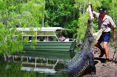 Hartley's Crocodile Adventures - Attractions Melbourne 6