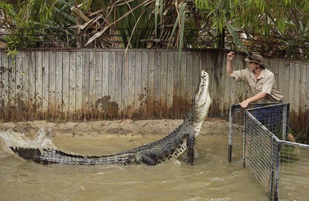 Hartley's Crocodile Adventures - Attractions Melbourne 8