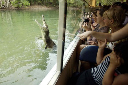 Hartley's Crocodile Adventures - Attractions Melbourne 9